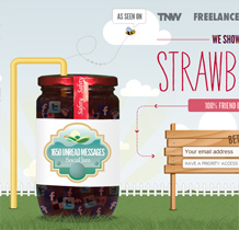 Strawberry Jam
